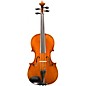 Eastman VA702 Series Professional Viola Outfit 15.5 in. thumbnail