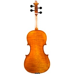 Eastman VA702 Series Professional Viola Outfit 15 in.