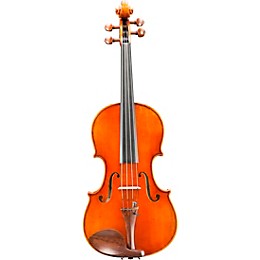 Eastman VA703 Frederich Wyss Series Professional Viola Outfit 16.5 in.