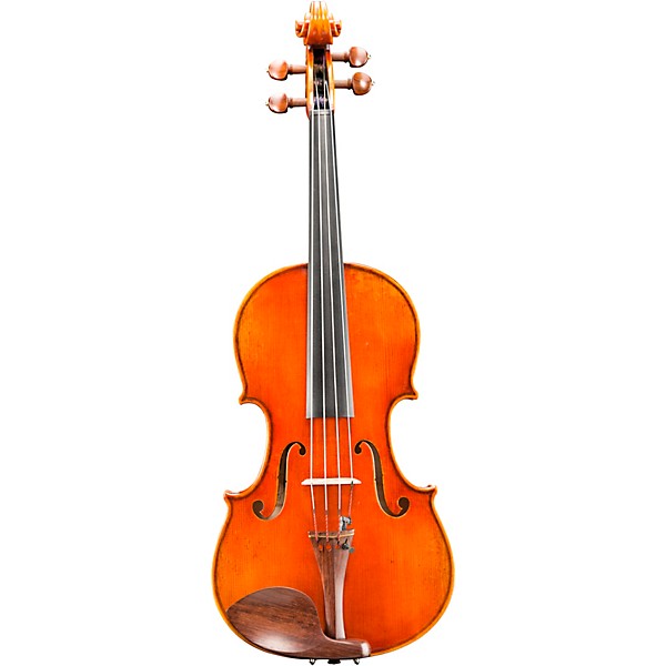 Eastman VA703 Frederich Wyss Series Professional Viola Outfit 16.5 in.