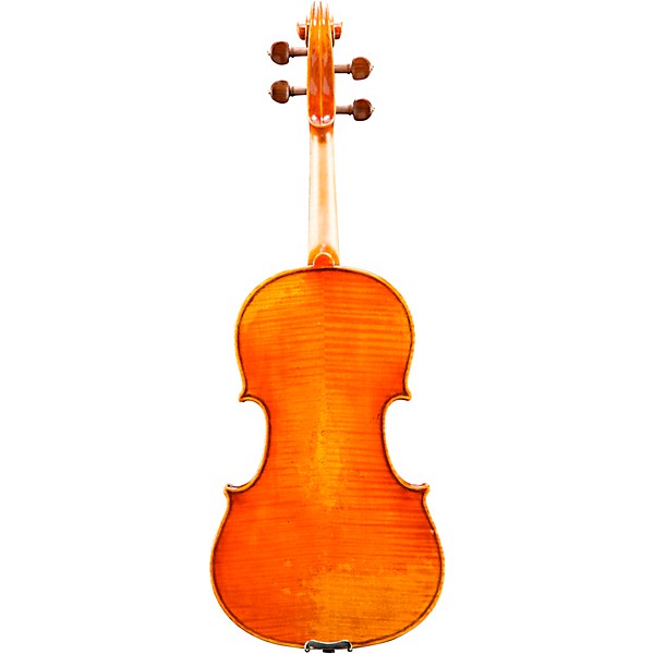 Eastman VA703 Frederich Wyss Series Professional Viola Outfit 16.5 in.