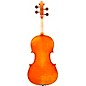 Eastman VA703 Frederich Wyss Series Professional Viola Outfit 16.5 in.