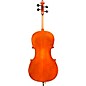 Eastman VC140 Ivan Dunov Prelude Series Student Cello Outfit 4/4