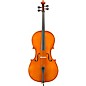 Eastman VC200 Andreas Eastman Series Step-Up Cello Outfit 4/4 thumbnail