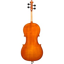 Eastman VC200 Andreas Eastman Series Step-Up Cello Outfit 4/4