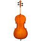 Eastman VC200 Andreas Eastman Series Step-Up Cello Outfit 4/4