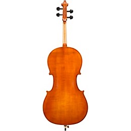 Eastman VC200 Andreas Eastman Series Step-Up Cello Outfit 7/8