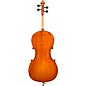 Eastman VC200 Andreas Eastman Series Step-Up Cello Outfit 7/8