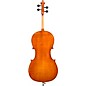 Eastman VC200 Andreas Eastman Series Step-Up Cello Outfit 3/4