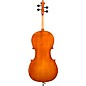 Eastman VC200 Andreas Eastman Series Step-Up Cello Outfit 1/2