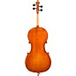 Eastman VC200 Andreas Eastman Series Step-Up Cello Outfit 1/4