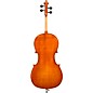 Eastman VC200 Andreas Eastman Series Step-Up Cello Outfit 1/8