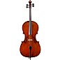 Eastman VC95 Samuel Eastman Hybrid Series Student Cello Outfit 4/4 thumbnail