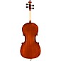 Eastman VC95 Samuel Eastman Hybrid Series Student Cello Outfit 4/4