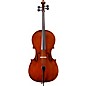 Eastman VC95 Samuel Eastman Hybrid Series Student Cello Outfit 3/4 thumbnail