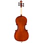 Eastman VC95 Samuel Eastman Hybrid Series Student Cello Outfit 3/4