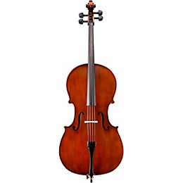 Eastman VC95 Samuel Eastman Hybrid Series Student Cello Outfit 1/4