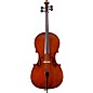 Eastman VC95 Samuel Eastman Hybrid Series Student Cello Outfit 1/8 thumbnail