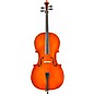 Eastman VC80 Samuel Eastman Series Student Cello Outfit 1/8 thumbnail