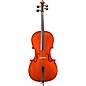 Eastman VC100 Samuel Eastman Series Student Cello Outfit 4/4 thumbnail