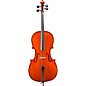 Eastman VC100 Samuel Eastman Series Student Cello Outfit 1/2 thumbnail