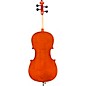 Eastman VC100 Samuel Eastman Series Student Cello Outfit 1/10