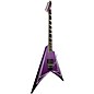 ESP Alexi Laiho Hexed Electric Guitar Hexed Graphic