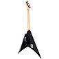 ESP Alexi Laiho Ripped Electric Guitar Ripped Graphic