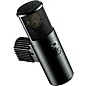 Warm Audio WA-8000 Large-Diaphragm Tube Condenser Microphone Black