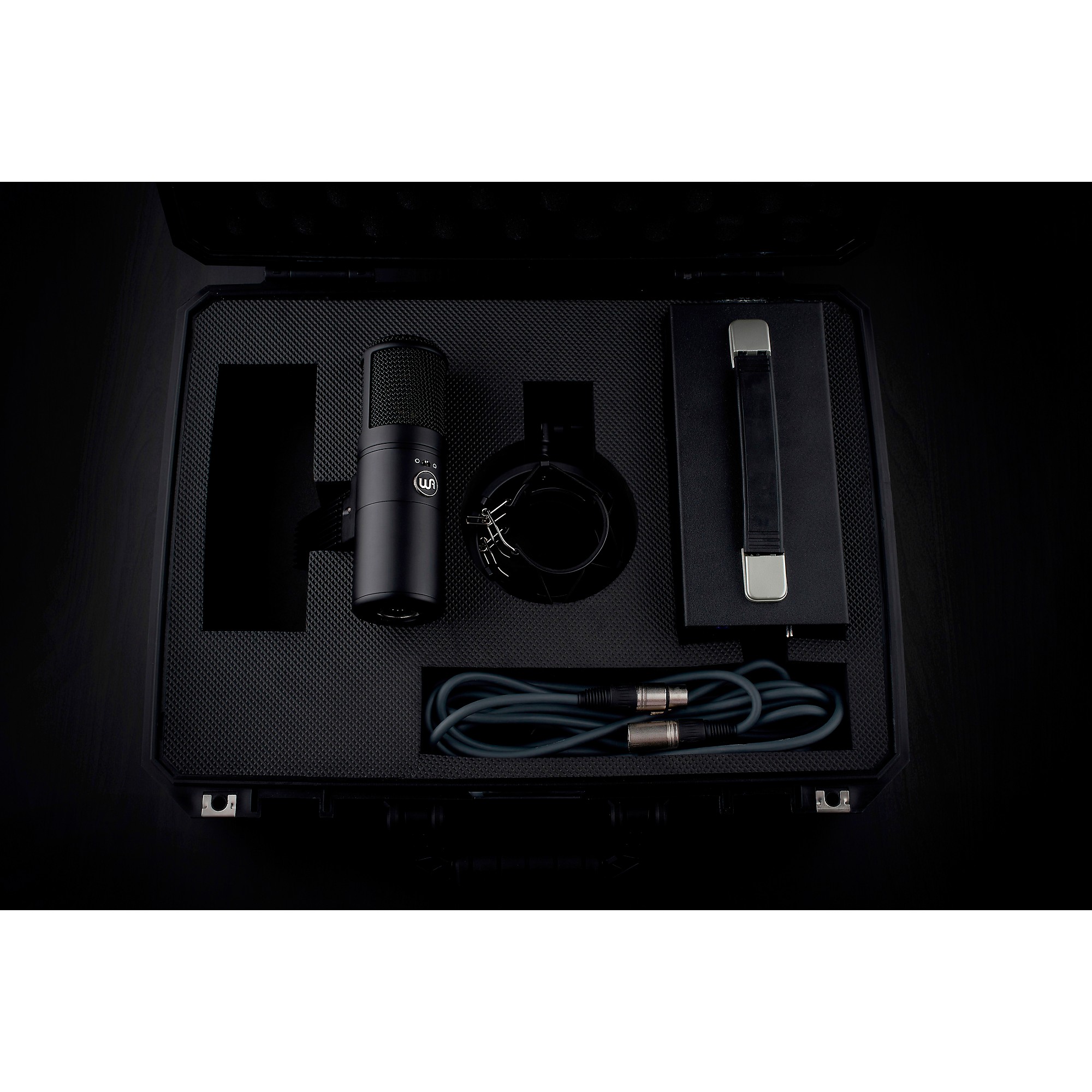 Warm Audio WA-8000 Large-Diaphragm Tube Condenser Microphone