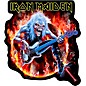 C&D Visionary Iron Maiden Sticker thumbnail