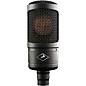 Antelope Audio Zen Go Limited-Edition Recording Bundle With Edge Solo Modeling Microphone