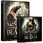 BOOM Library Monsters & Beasts Bundle (Download) thumbnail