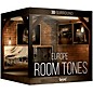 BOOM Library Room Tones Europe 3D Surround (Download) thumbnail