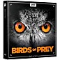 BOOM Library Birds of Prey (Download) thumbnail