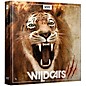 BOOM Library Wildcats (Download) thumbnail