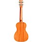 Cordoba 15CM Matiz Concert Ukulele Classic Blue