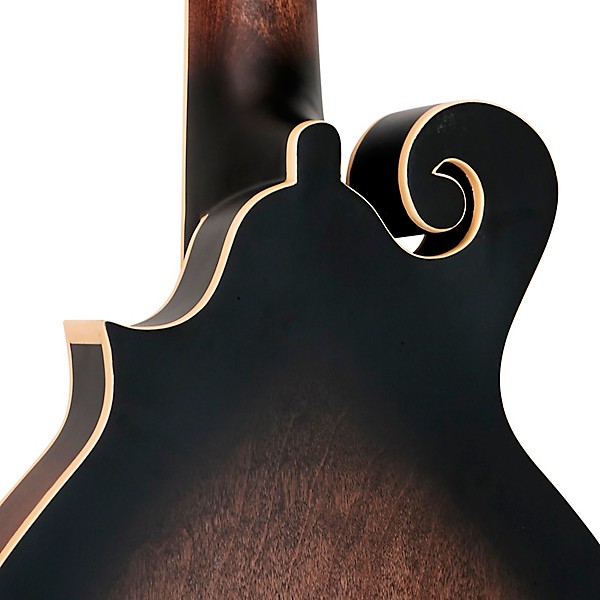 Gold Tone 12-string F-style Mando-Guitar With Pickup Tobacco Sunburst