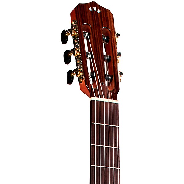 Cordoba Stage Nylon-String Electric Guitar Natural Amber