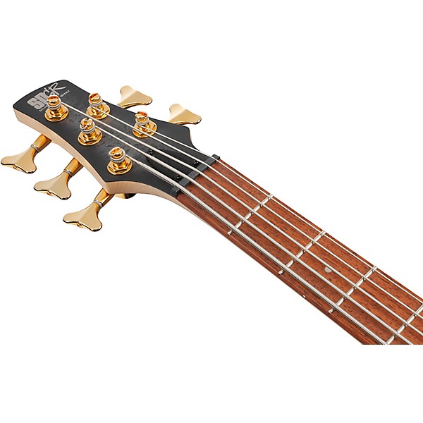 Ibanez SR305EDX 5-String Electric Bass Black Ice Frozen Matte