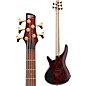 Ibanez SR305EDX 5-String Electric Bass Wine Red Frozen Matte