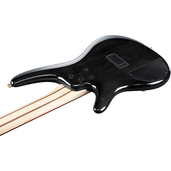 Ibanez SR405EPBDX 5-String Electric Bass Guitar Tropical Seafloor Burst