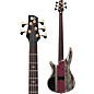 Ibanez Premium SR5CMDX 5-String Electric Bass Black Ice Low Gloss