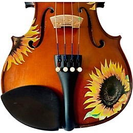 Open Box Rozanna's Violins Sunflower Delight Series Viola Outfit Level 1 16 in.