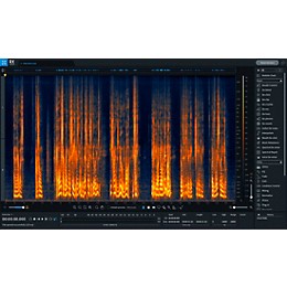 iZotope RX 9 STD: Upgrade from RX Elements/Plug-in Pack (Download)