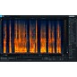 iZotope RX 9 STD: Upgrade from RX Elements/Plug-in Pack (Download)