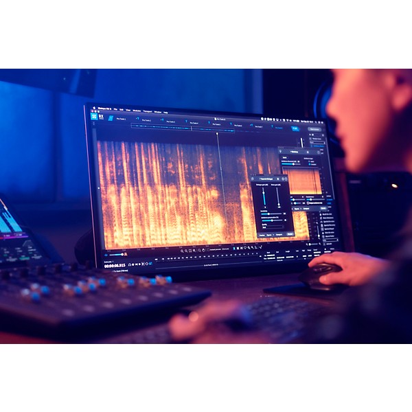 iZotope RX 9 STD: Upgrade from RX Elements/Plug-in Pack (Download)