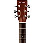 SIGMA SIG10DNATS Solid Top Dreadnought Acoustic Guitar Natural Gloss Finish