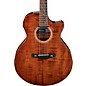 Open Box Ibanez AE295LTD Limited-Edition Acoustic-Electric Guitar Level 2 Natural High Gloss 194744828669 thumbnail