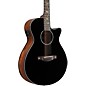 Ibanez AEG550 Bocote Acoustic-Electric Guitar Black Gloss thumbnail